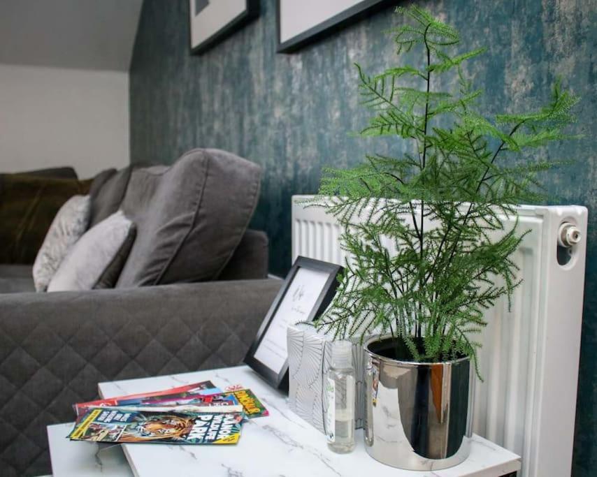 Luxe Living Guest House-Sleeps 6-Private Parking-Free Wifi-Beach-City Swansea Luaran gambar